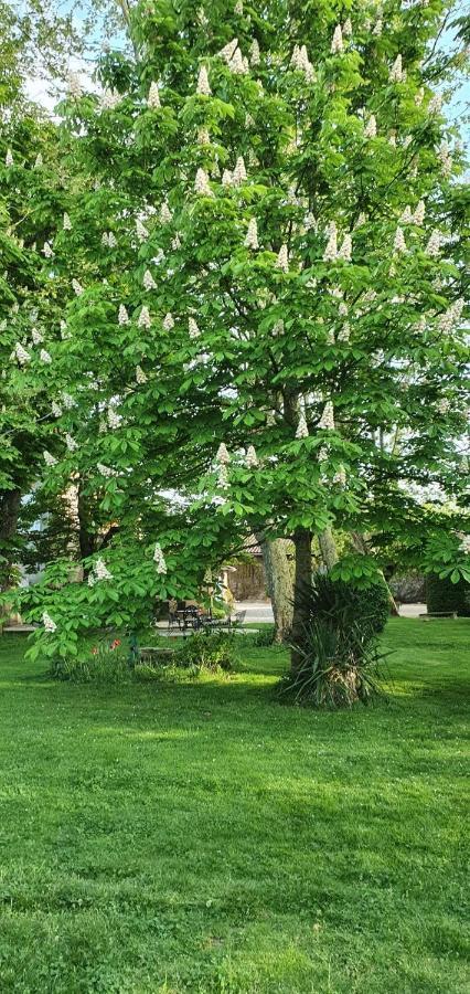 B&B Le Domaine Des Marcoujans Saint-Elix-le-Chateau Luaran gambar